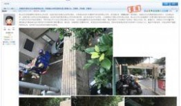 深圳网民最新爆料,最新爆料引发热议！